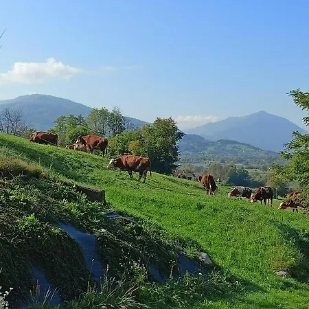 Panorama Dolomiti 3*