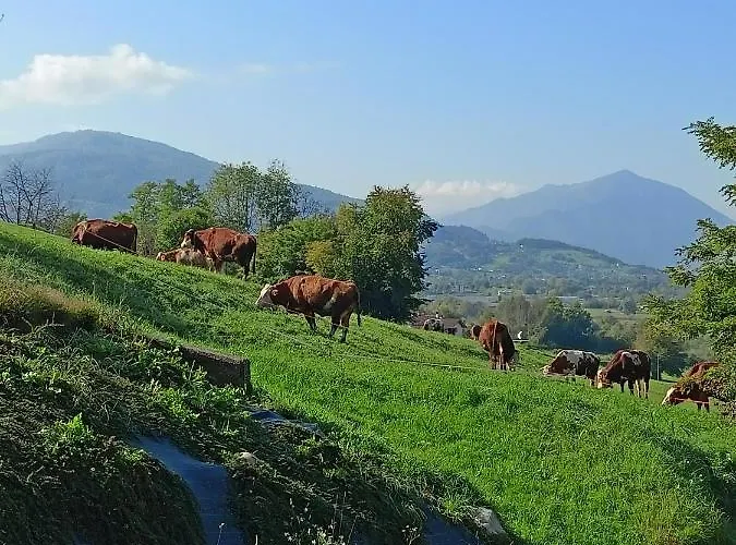 Panorama Dolomiti 3*