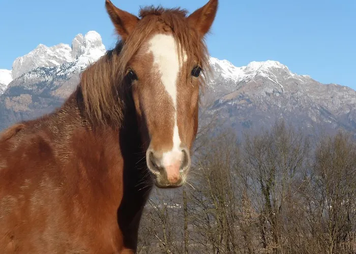Panorama Dolomiti Nocleg ze śniadaniem Mel