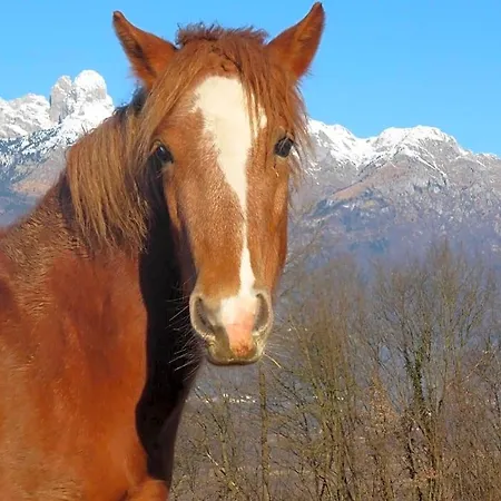 Panorama Dolomiti Bed & Breakfast 3*